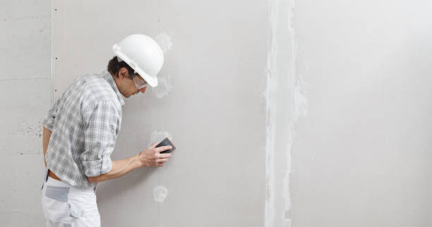 Best Repainting for Renovations  in Landing, NJ